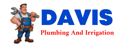 Davis Plumbing & Irrigation Logo